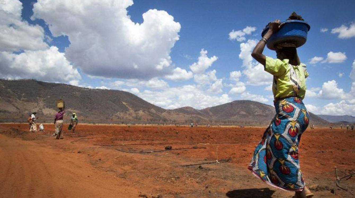 Les changements climatiques contribuent à intensifier l’insécurité alimentaire de beaucoup de gens à travers le monde. Photo FAO/IFAD/WFP/Eliza Deacon