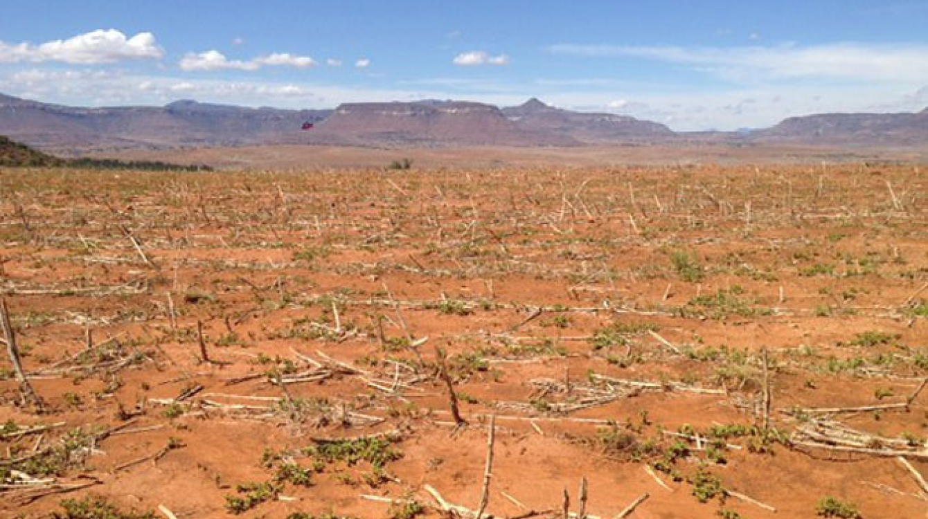 Terres stériles en raison de la sécheresse provoquée par El Niño dans le pays d’Afrique australe du Lesotho. Photo : FAO