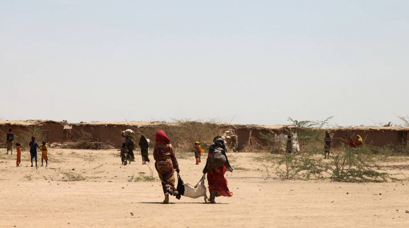 Des agriculteurs en Ethiopie: la Corne de l’Afrique est l’une des régions les plus durement touchées par El Niño. Photo: FAO/Tamiru Legesse