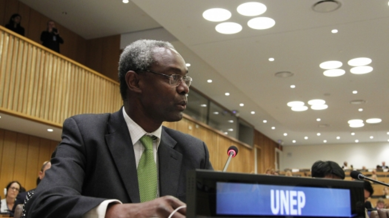 Ibrahim Thiaw, Assistant Secretary-General and Deputy Executive Director of the United Nations Environmental Programme (UNEP)