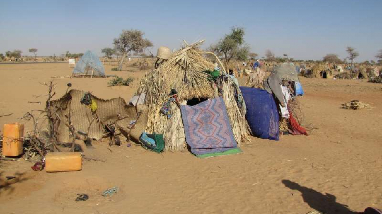 A makeshift refugee shelter beside the highway east of Diffa, Niger.