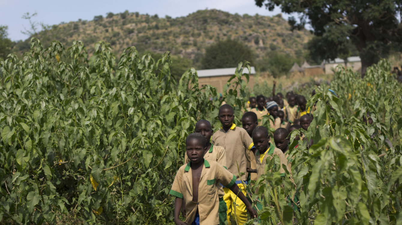 Children walk back to school after competing in an inter-school athletics competition northern Cameroon, 2017. Photo credits: UNICEF/Karel Prinsloo