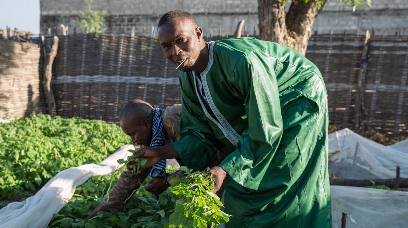 Ibrahima Sow, a Senegalese returnee, dressed up to show his work as a market gardener.