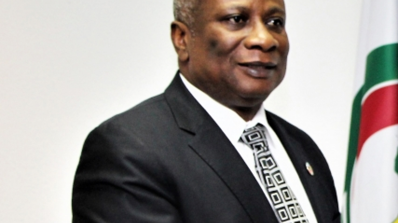 Edward Kallon, UN Resident Coordinator in Nigeria
