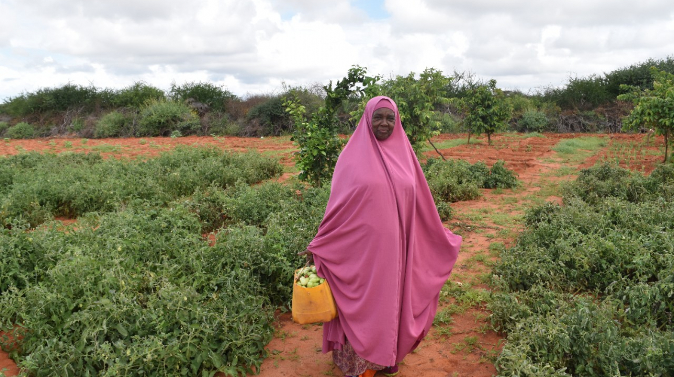 In the Somali region of Ethiopia, recurring droughts and locust invasions were already threatening food security. With COVID-19, the socio-economic impacts being felt across Ethiopia are wide-ranging and serious, with the potential to become severe, the r