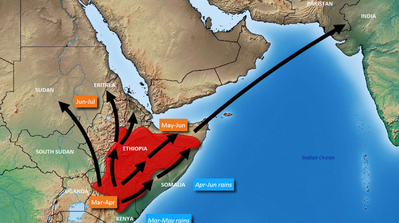 Huu ulikuwa utabiri wa FAO kuhusu mwelekeo wa nzige wa jangwani kwenye eneo la pembe ya Afrika kwa mwezi Machi hadi Juni 2020