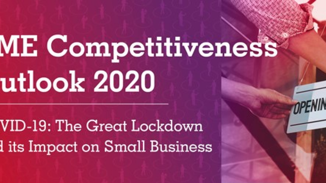 SME Competitiveness Outlook 2020