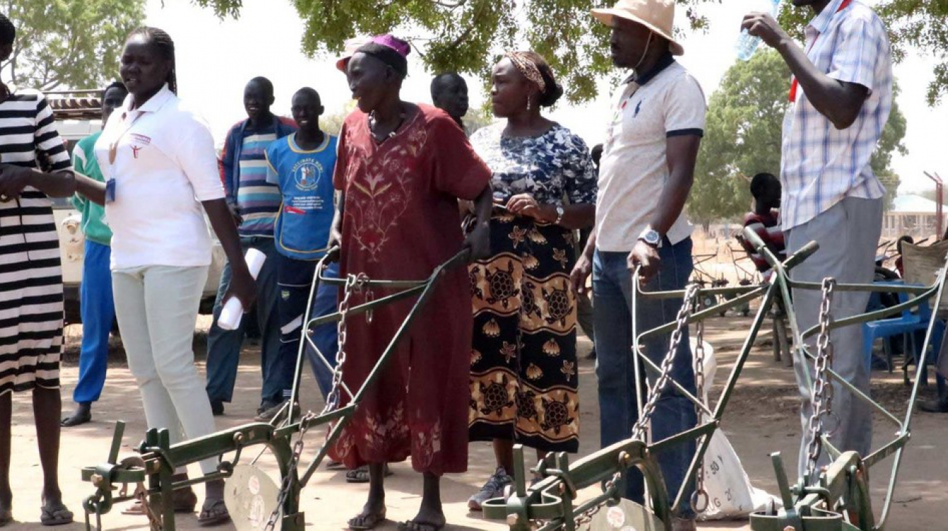 Ox ploughs have been delivered to women's groups in Rumbek North to enable the cultivation of larger areas.