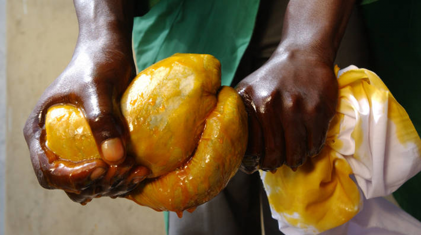 Squeezing palm oil.