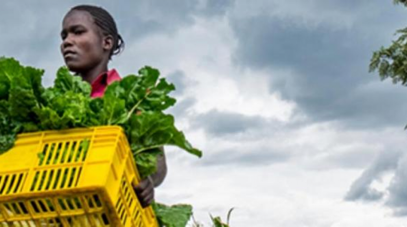 Woman carrying vegetables.