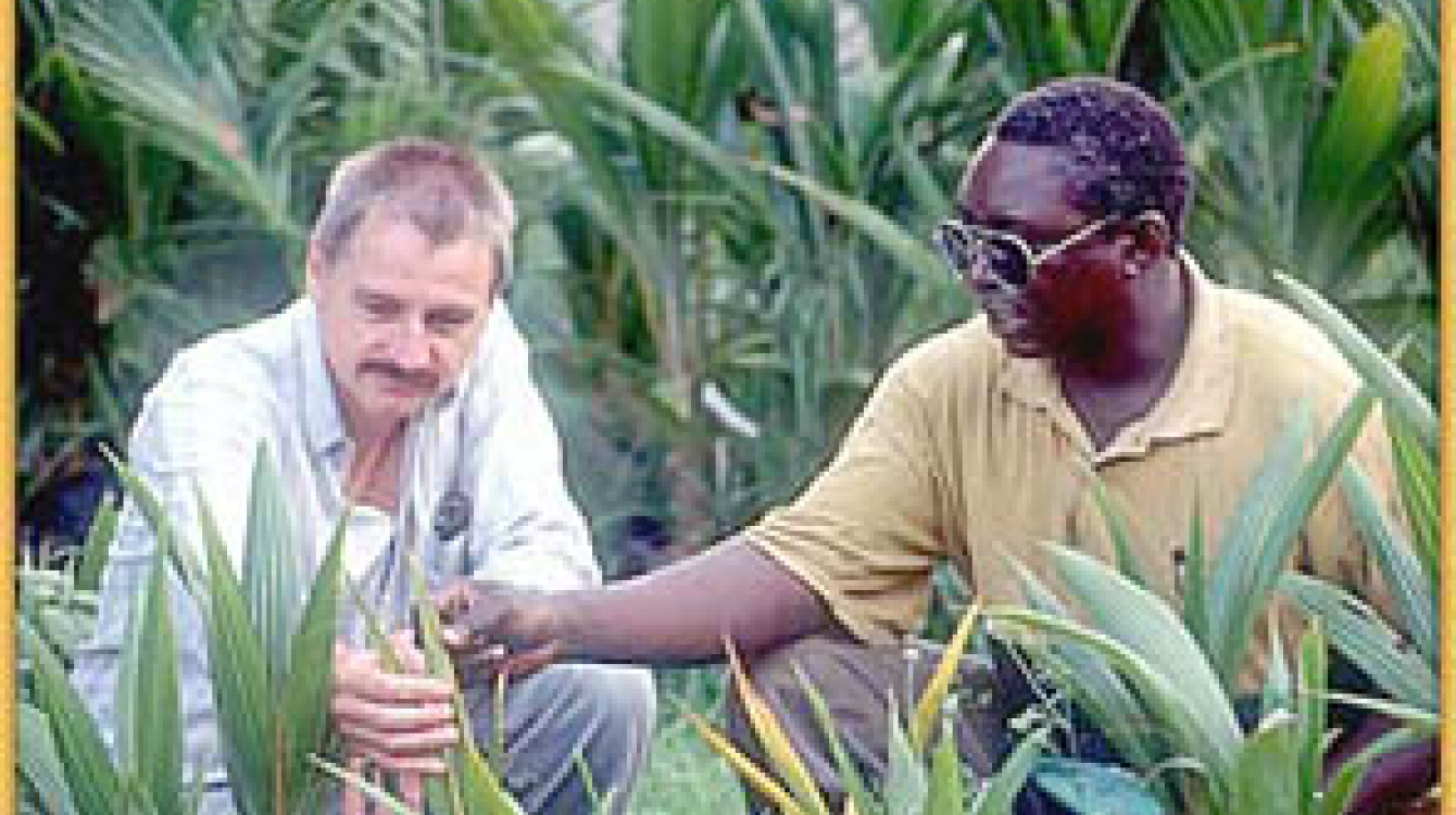 Projet d'aide allemand en Tanzanie : Le Gouvernement tanzanien a pu amener les différents donateurs à mieux coordonner leurs activités. Photo: © Das Fotoarchiv / Hacky Hagemeyer