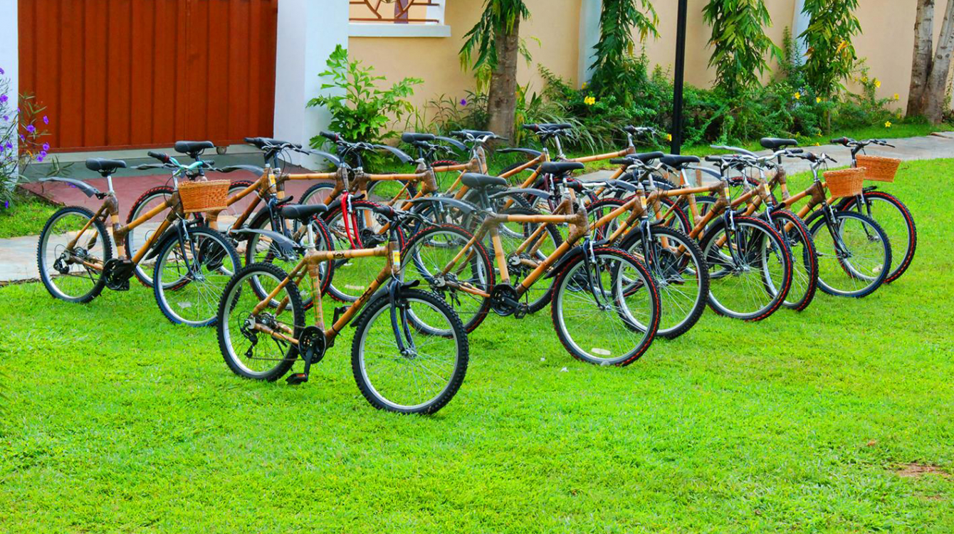 Bamboo bikes on display.