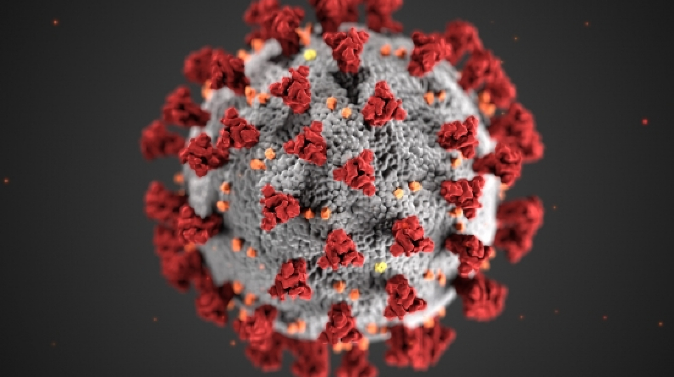 coronavirus