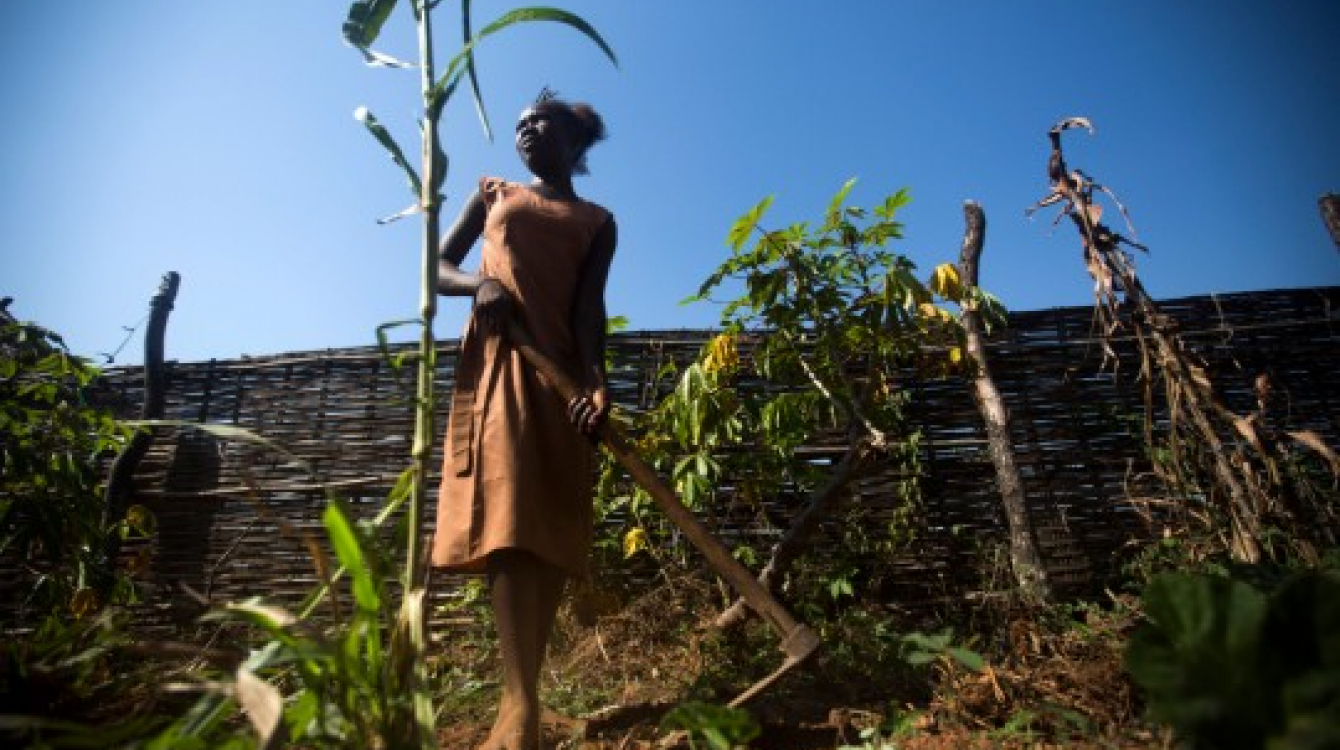 Pour leur subsistance, plus de 11 millions de la population au Soudan du Sud (95%) dépendent presqu’entièrement des secteurs sensibles au climat, dont l'agriculture, les ressources forestières et la pêche. Photo: Albert Gonzalez Farran, UNDP