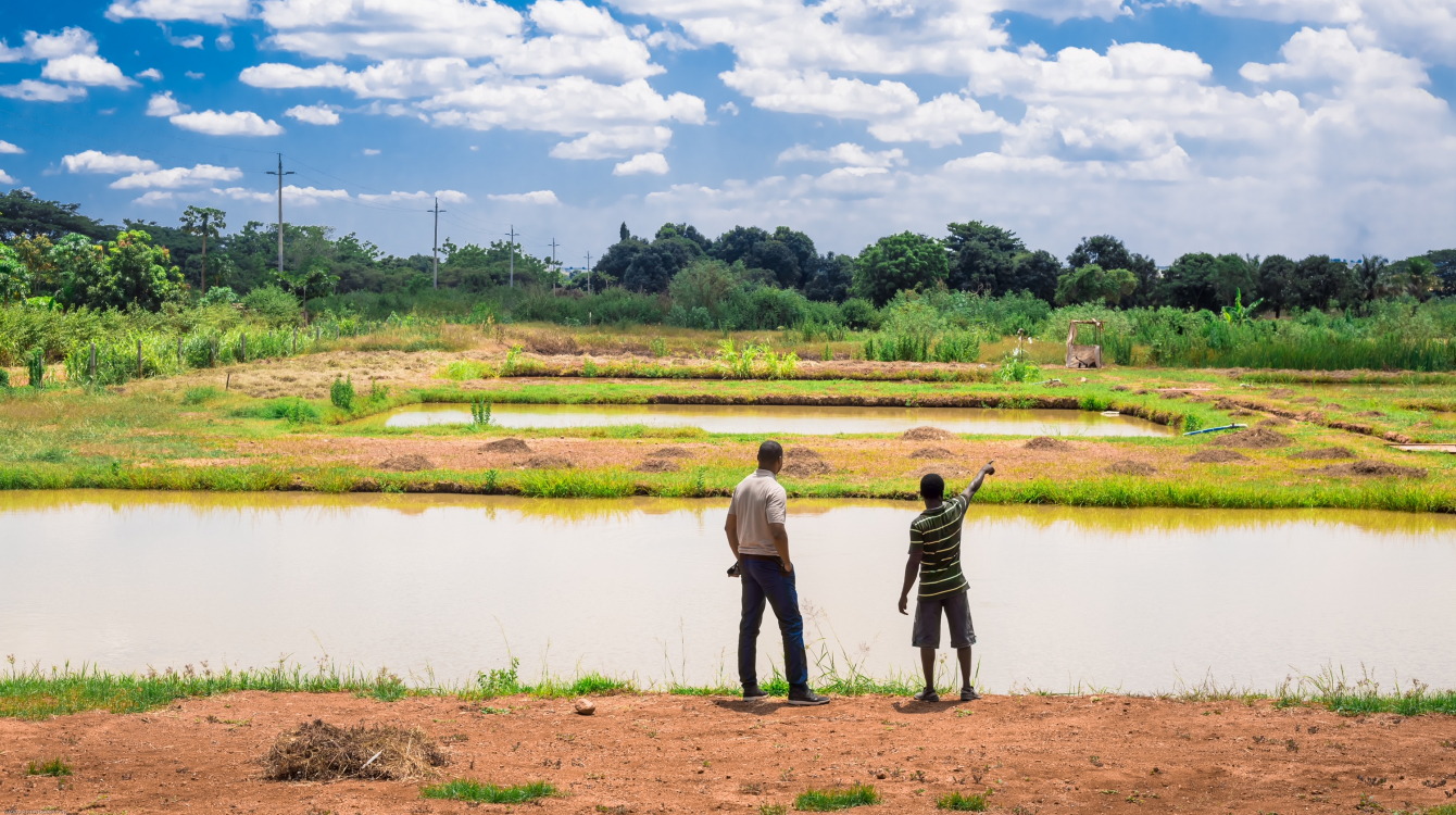 An image of Mr. Mendes, 35, is the owner of Frutos da Lagoa, a semi-intensive fish farm.