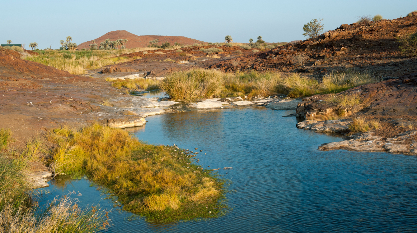 Source d'eau douce dans un canal à Palmwag, région de Kunene, Namibie 