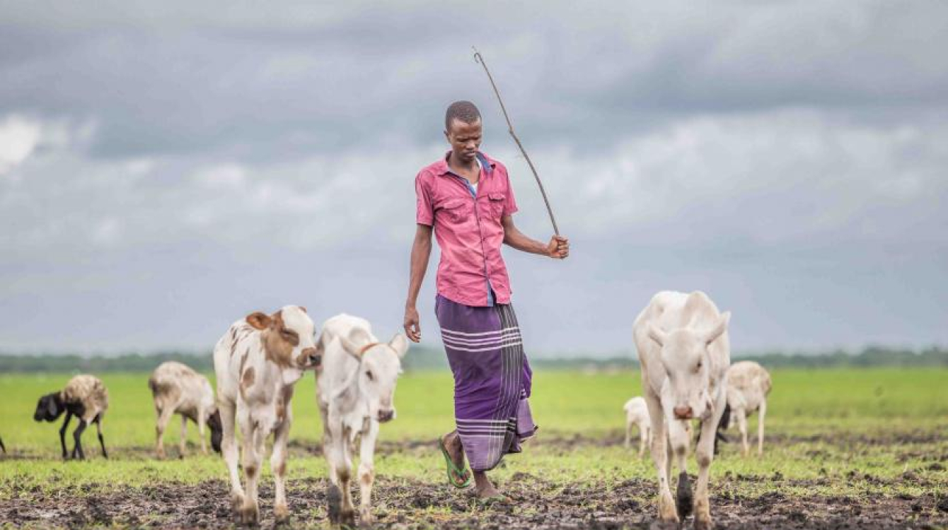 Farmers and herders vie for access to land and pasture.