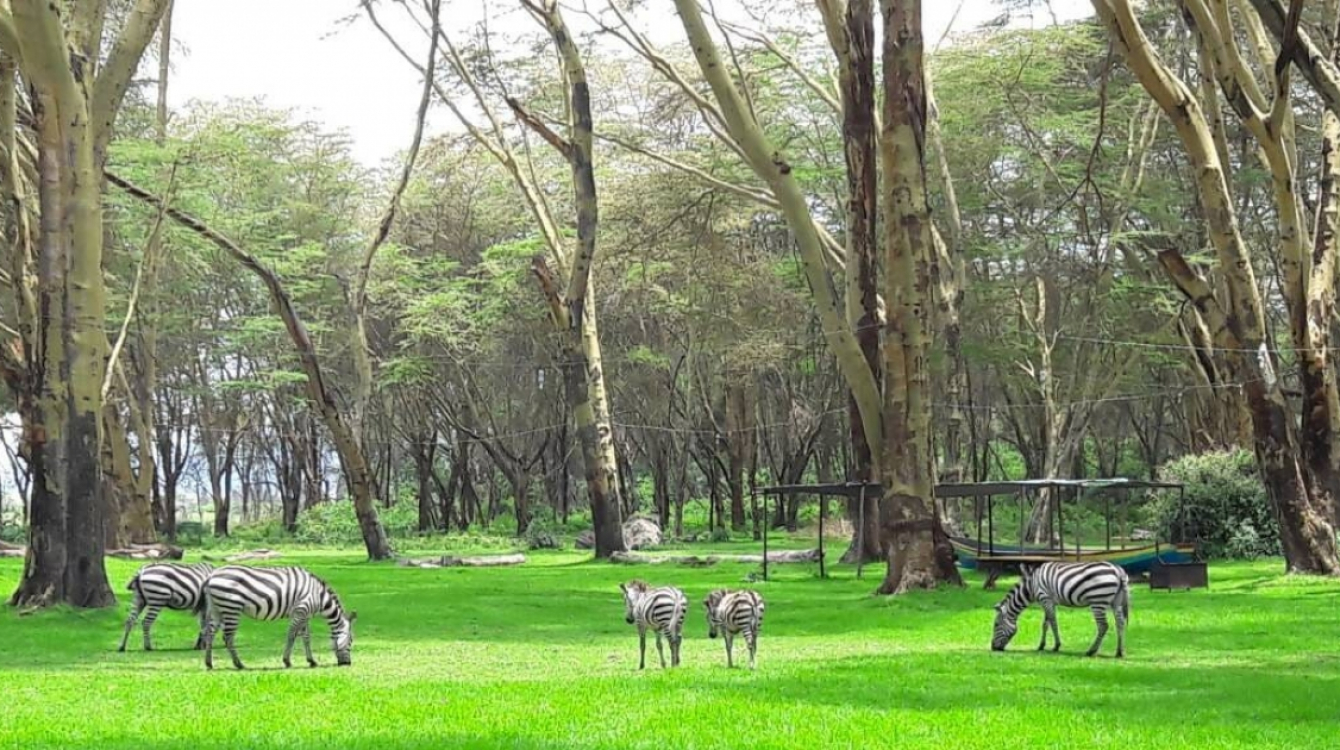 An image of Lake Naivasha in southern-central Kenya.