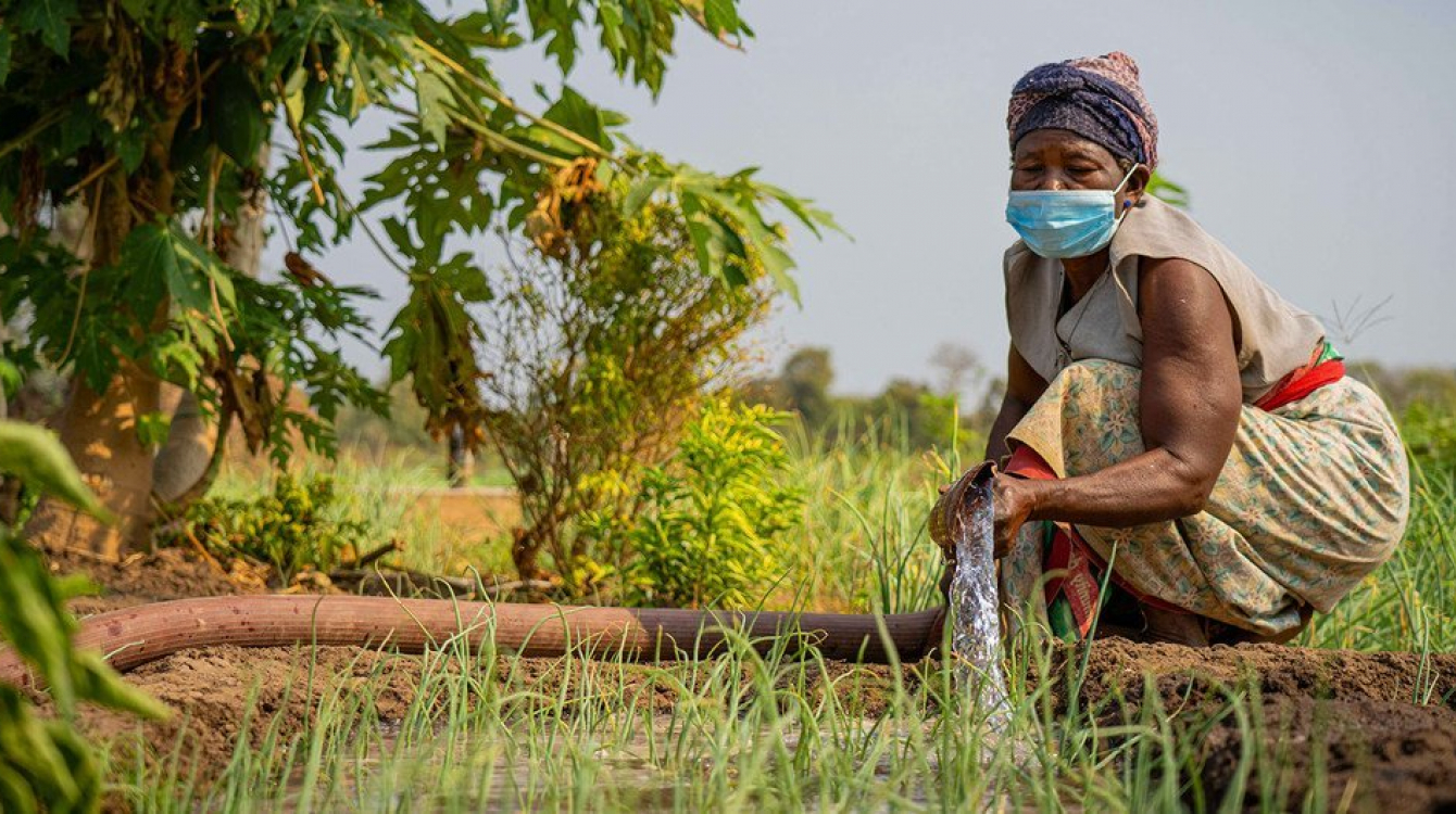 Woman working in irrigated field
