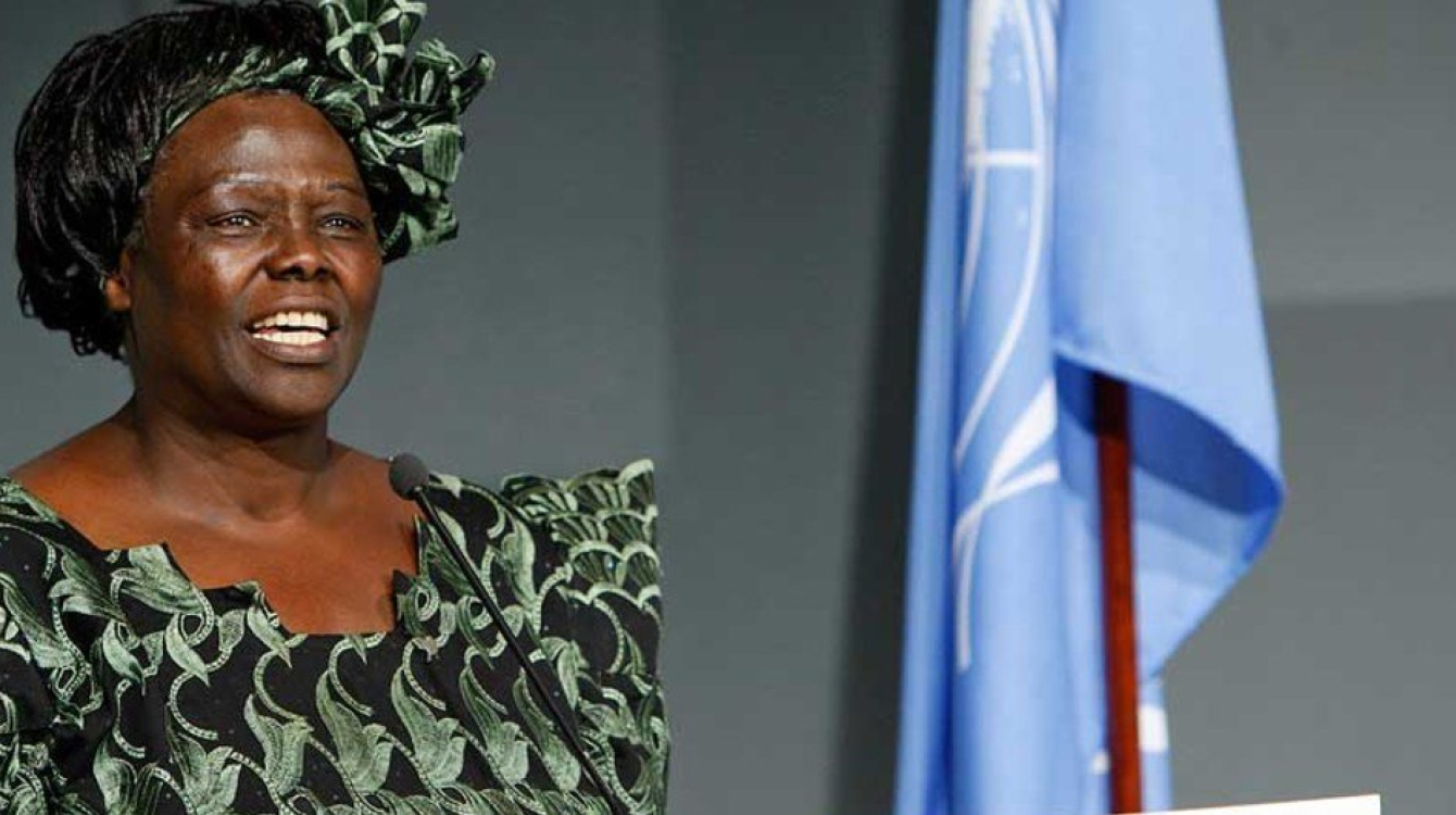 Une image de Wangari Maathai, lauréate du prix Nobel et nouvellement nommée messagère de la paix