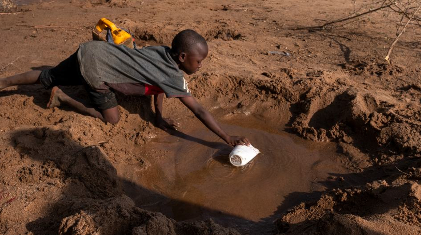 A young boy collects what little water.