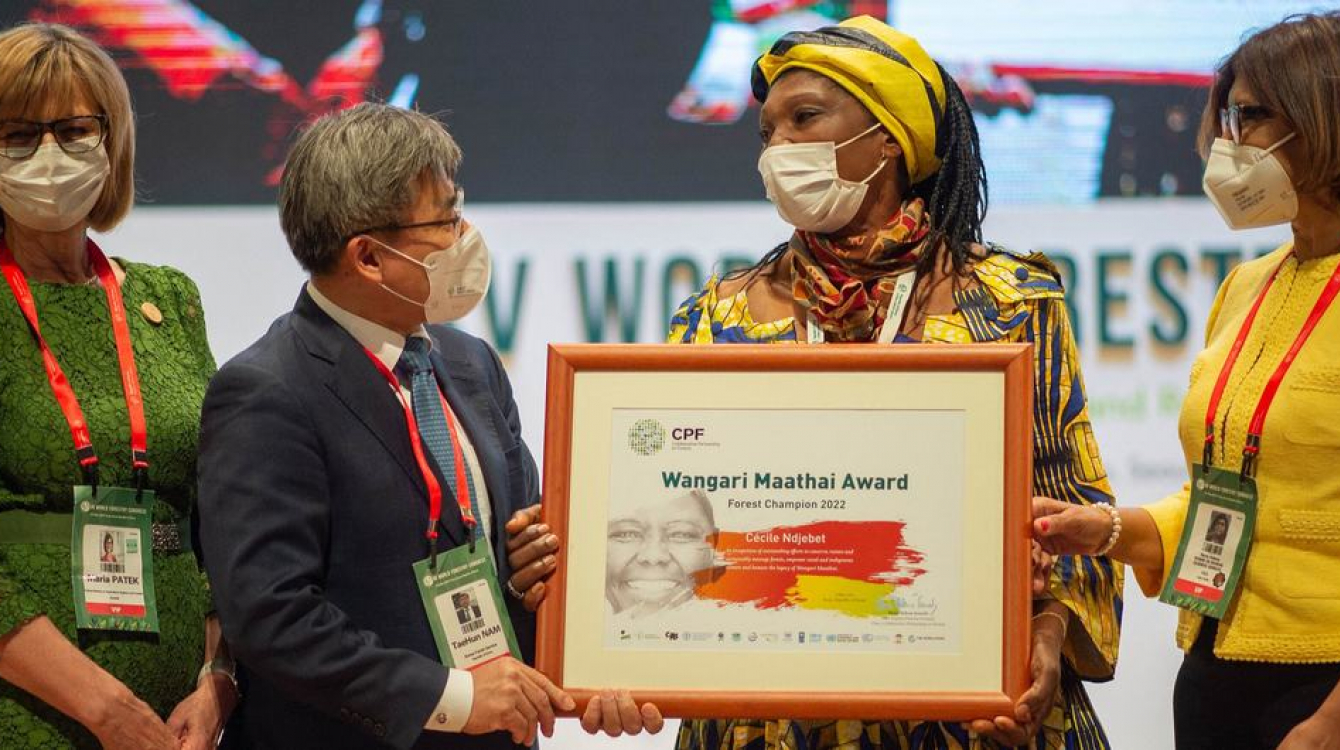 L'activiste camerounaise Cécile Ndjebet, lauréate du prix Wangari Maathai Forest Champions Award