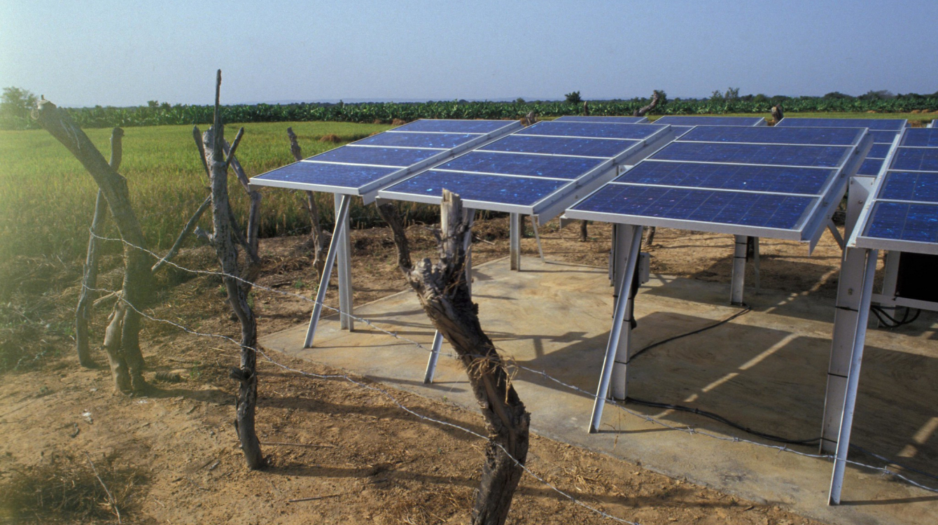 Solar panels on a farm in Mali.
