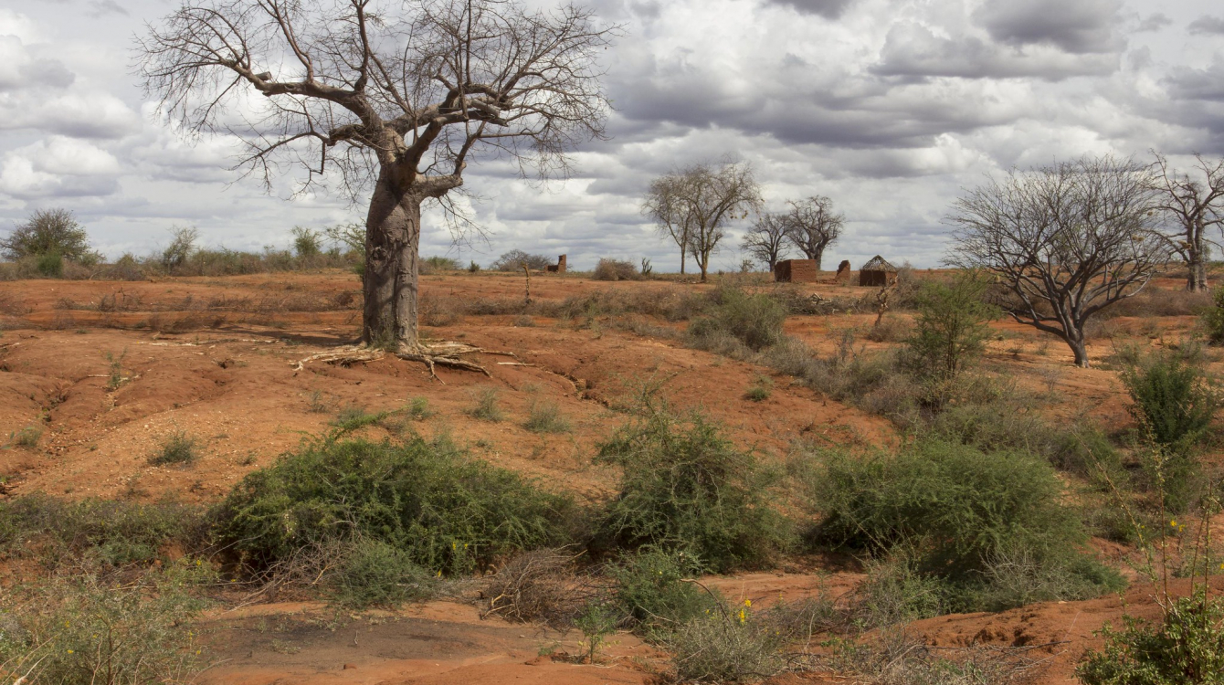 Arid landscape in Kenya's Eastern province.