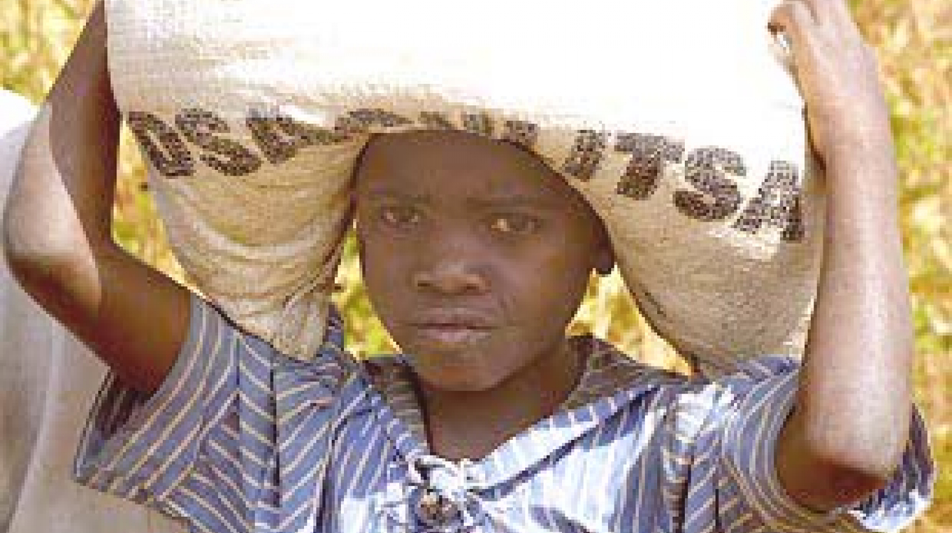 L'aide alimentaire arrive au Malawi, mais la région en recevra-t-elle suffisamment pour éviter de nombreux autres décès ? Photo : ©PAM / Mike Higgins