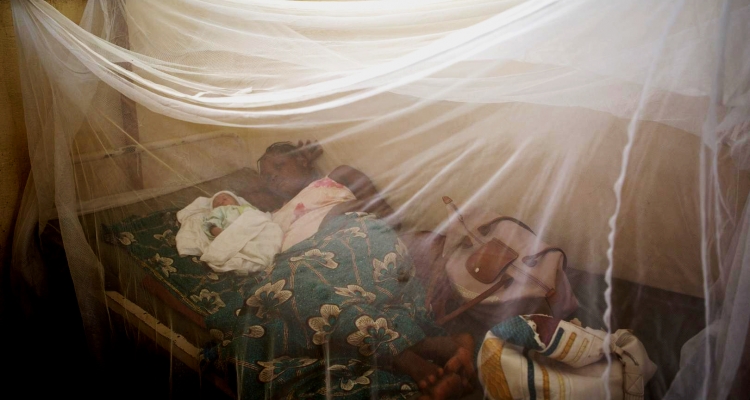 Le Togo est le premier pays africain à mettre fin à la maladie du sommeil comme problème de santé publique