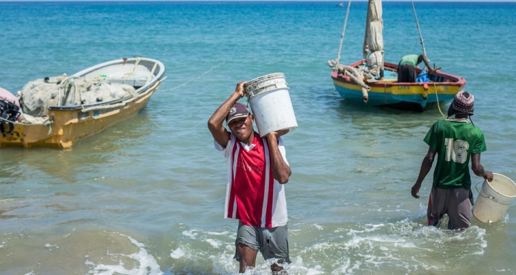 Fisherman in Haiti at shore.