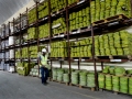 Cables and wires in storage at Reroy Cables. The Ghanaian company augmented its capital with a bank loan secured with the help of the International Finance Corporation, an affiliate of the World Bank. Panos/Nyani Quarmyne