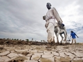 Farmers planting during a rainy season in Dali, North Darfur, Sudan. Photo: UN Photo / Albert Farran