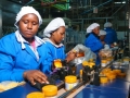 Workers producing pharmaceutical products