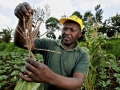 A farmer in Mount Kenya region in Kenya. Photo: CIAT/Neil Palmer