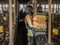 A man with chicken eggs in his hands.