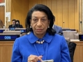 Ambassador Maria de Jesus dos Reis Ferreira