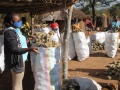 Des femmes préparent la récolte du baobab.