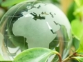 Graphic of green globe and green foliage