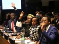 African youth participate at an international youth forum at the UN headquarters in New York. Photo: Africa Renewal/Shu Zhang