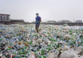 A man sorting a sea of plastic bottles at one of the ...