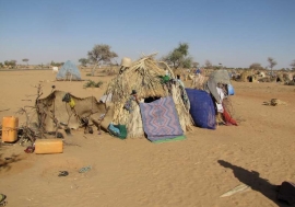 A makeshift refugee shelter beside the highway east of Diffa, Niger.