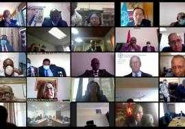 Screengrab of the FAO-AU Ministerial (virtual) Meeting on the Impacts of COVID-19 on Food Security in Africa.