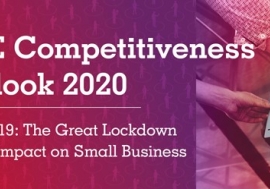 SME Competitiveness Outlook 2020