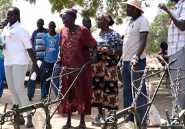 Ox ploughs have been delivered to women's groups in Rumbek North to enable the cultivation of larger areas.