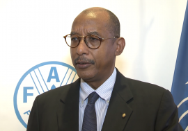 Ibrahim Mayaki, CEO AUDA-NEPAD