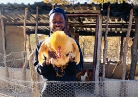 Terrence Maphosa avec sa volaille. Crédit photo: Terrence Maphosa