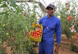 Les agriculteurs peuvent mieux conserver leurs fruits et légumes et recevoir des paiements rapides. 