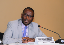 Munyaradzi Chenje, the outgoing Regional Director, Regional Office for Africa, UN Development Coordi