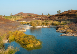 Source d'eau douce dans un canal à Palmwag, région de Kunene, Namibie 